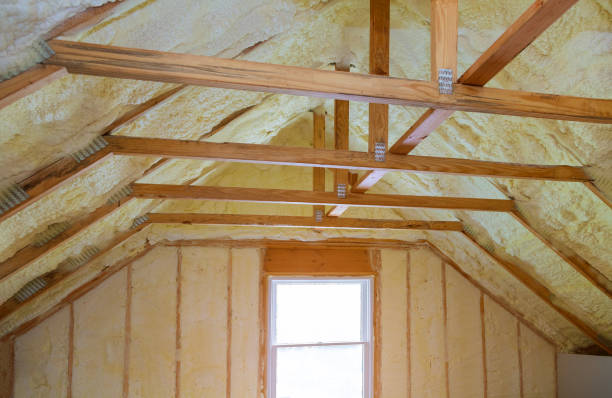 Best Residential Insulation in Three Rivers, MI