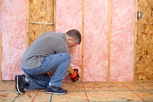 Best Specialized Insulation Services in Three Rivers, MI