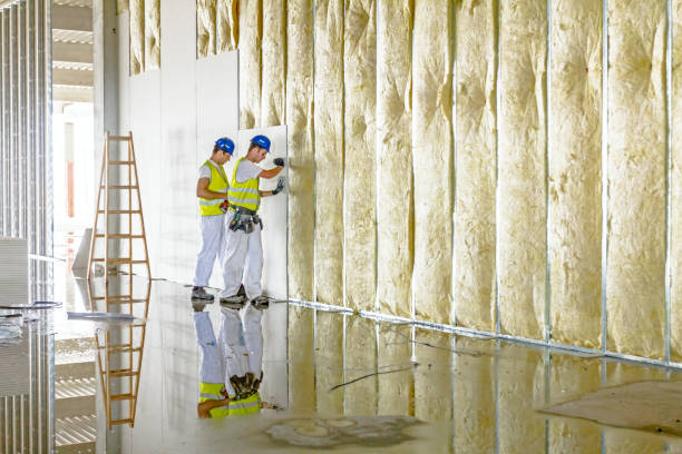 Best Fiberglass Insulation in Three Rivers, MI